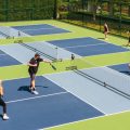 Một Số Thuật Ngữ Trong Pickleball